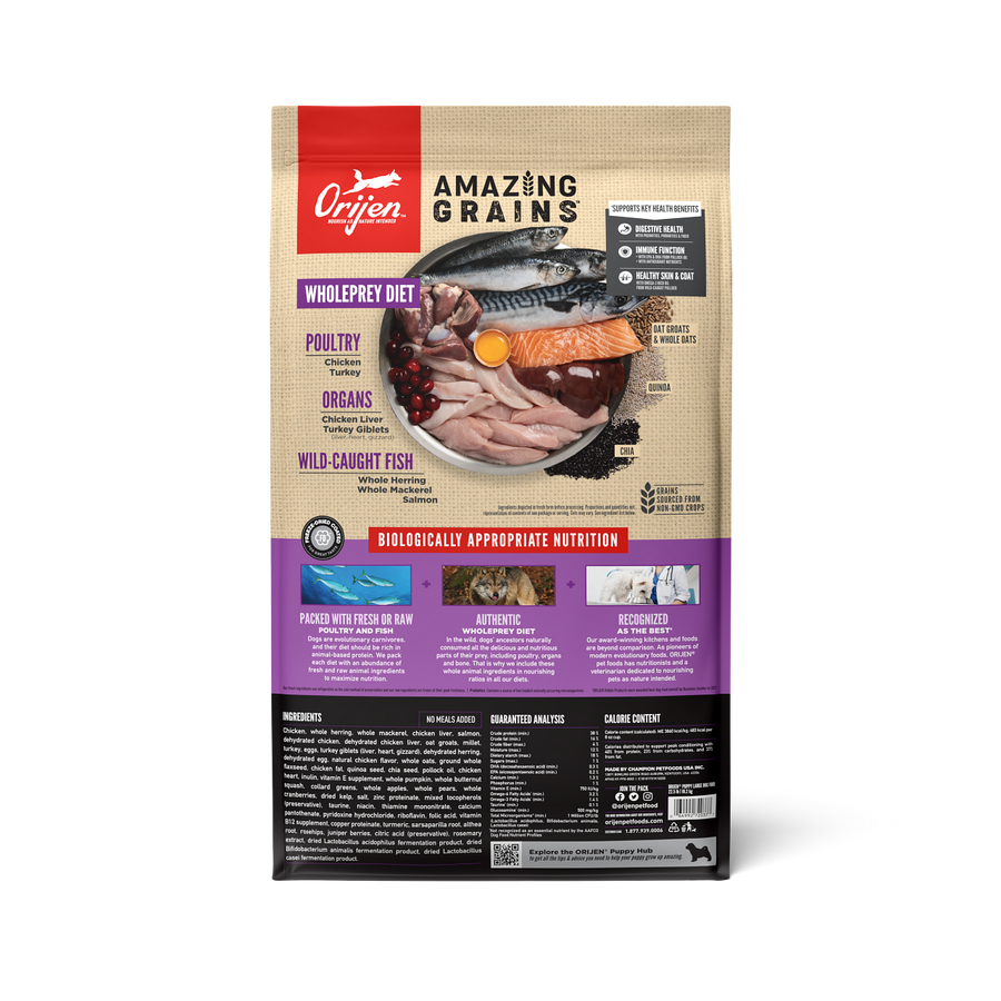 Orijen Amazing Grains Large Breed Puppy Formula Dry Dog Food back of bag.