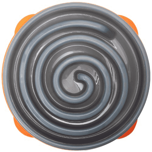 Outward Hound Dog Games Slo Bowl Slow Feeders Coral Design Dog Bowl, Top View