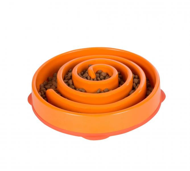Outward Hound Dog Games Slo Bowl Slow Feeders Coral Design Dog Bowl, with Treats Top View