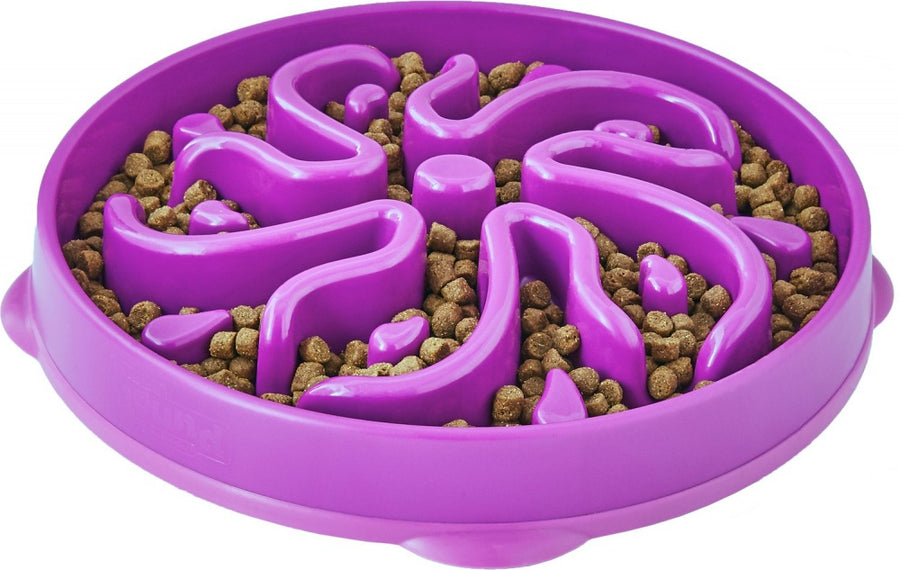 Outward Hound Dog Games Slo Bowl Slow Feeders Flower Design Dog Bowl Purple