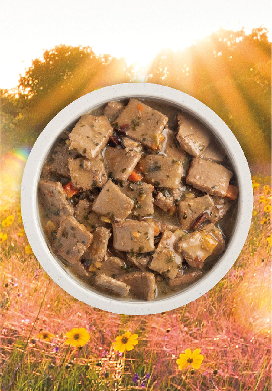 Acana Premium Chunks Duck Recipe in Bone Broth Canned Dog Food