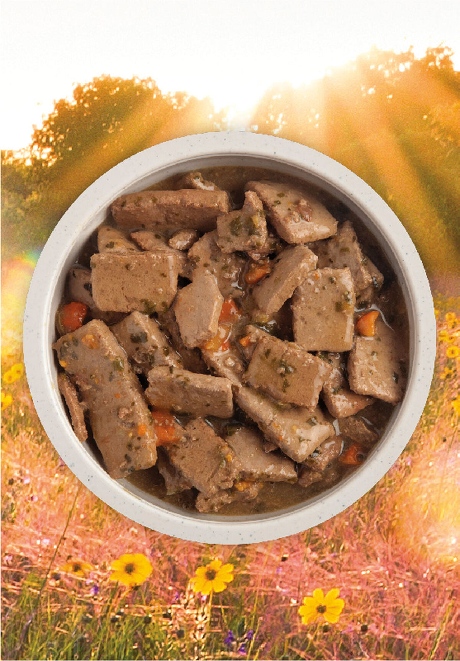 Acana Premium Chunks Lamb Recipe in Bone Broth Canned Dog Food