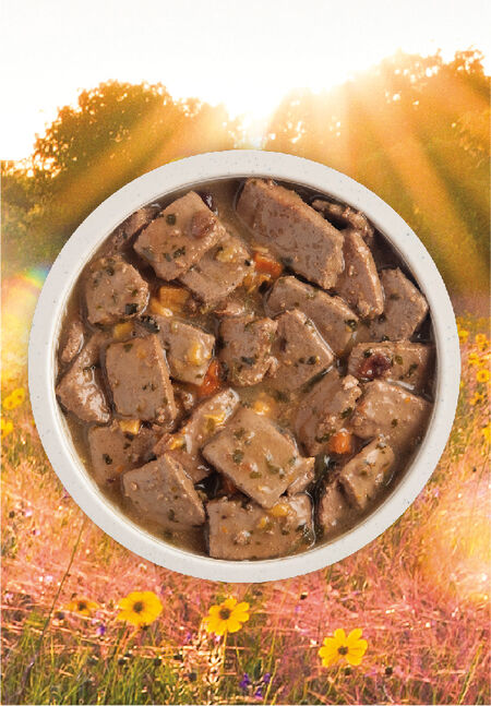 Acana Premium Chunks Pork Recipe in Bone Broth Canned Dog Food