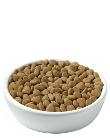 Purina Pro Plan Focus Urinary Tract Health Formula Adult Dry Cat Food