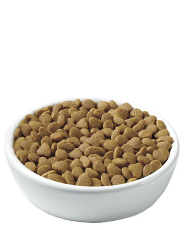 Purina Pro Plan Focus Weight Management Chicken & Rice Formula Dry Cat Food