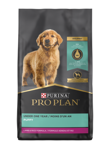 Pro plan dog food lamb and rice hotsell