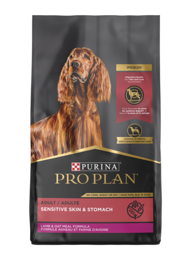 Purina Pro Plan Focus Sensitive Skin & Stomach Formula Lamb & Oat Meal Formula Dry Dog Food