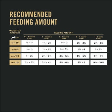 Purina Pro Plan Large Breed Puppy Formula Dry Dog Food