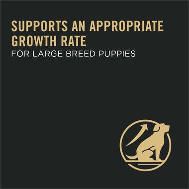 Purina Pro Plan Large Breed Puppy Formula Dry Dog Food