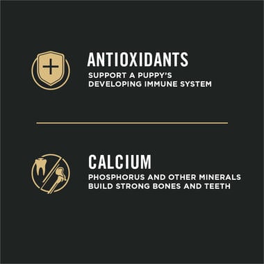 Pro plan puppy ingredients online