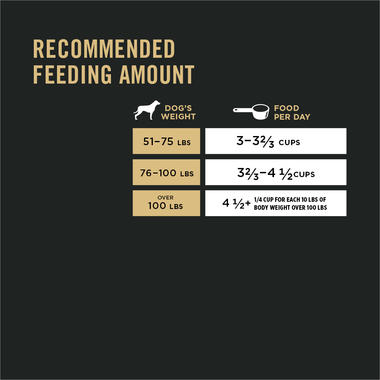 Purina Pro Plan Focus Adult Large Breed Formula Dry Dog Food