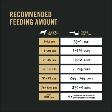 Purina Pro Plan Focus Sensitive Skin & Stomach Formula Salmon & Rice Formula Dry Dog Food