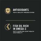 Purina Pro Plan Focus Sensitive Skin & Stomach Formula Salmon & Rice Formula Dry Dog Food
