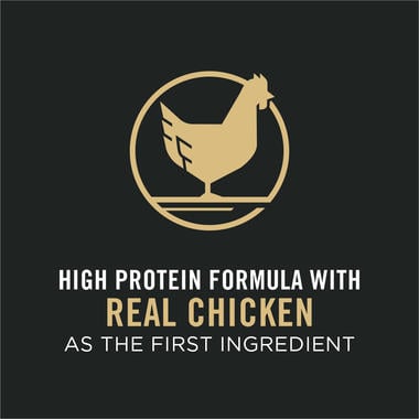 Purina Pro Plan Focus Adult Small Breed Formula Dry Dog Food