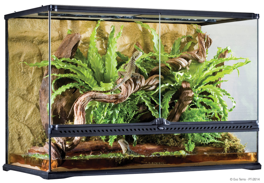 Exo Terra Glass Terrarium