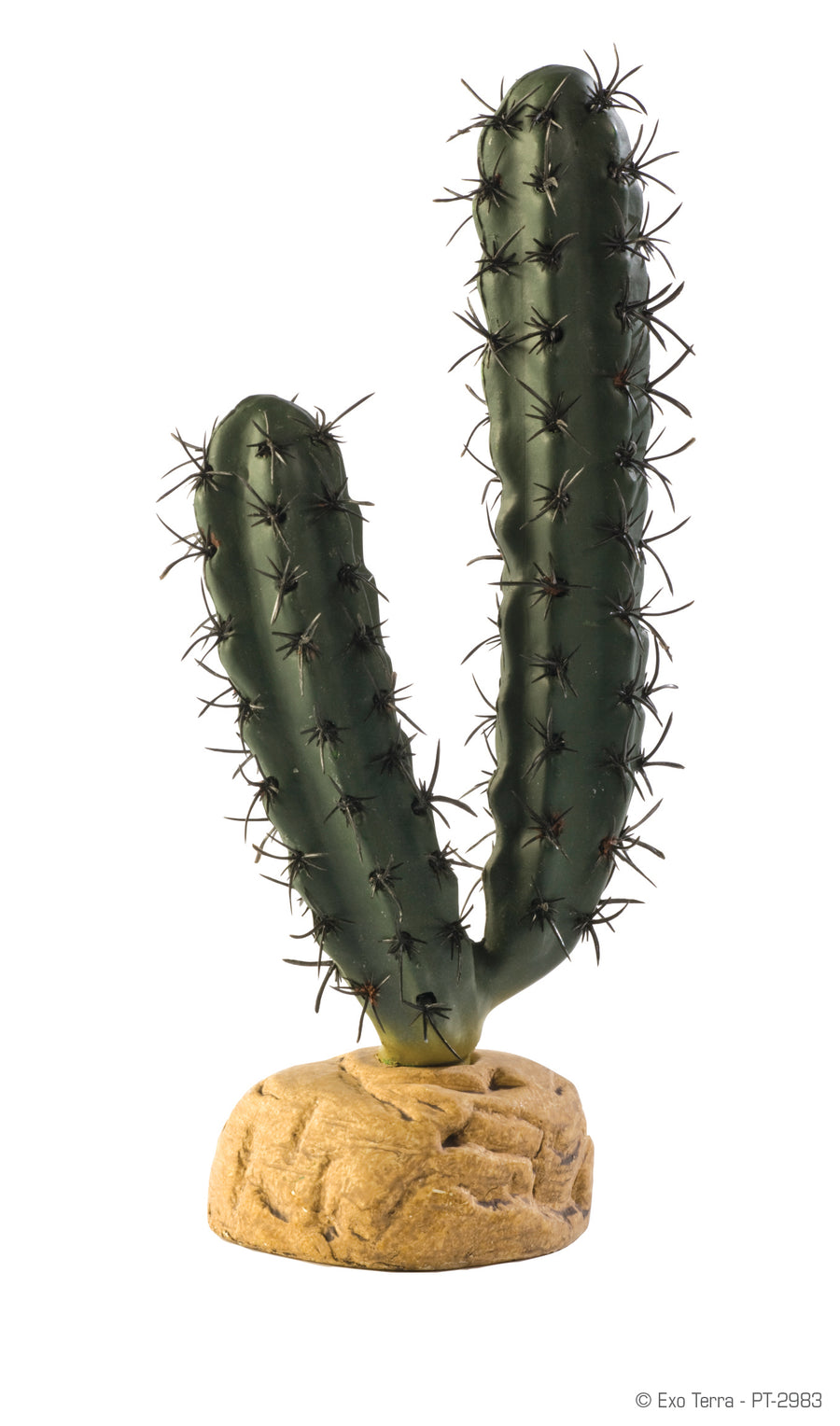 Exo Terra Plant Finger Cactus