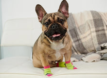 RC Pets Sporty PAWks Anti-Slip Charcoal Heather Dog Socks - Incredible Pets