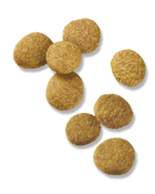 Purina Pro Plan Large Breed Puppy Formula Dry Dog Food Pieces