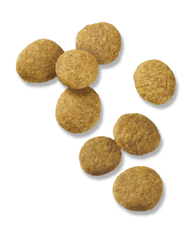 Purina Pro Plan Large Breed Puppy Formula Dry Dog Food Pieces