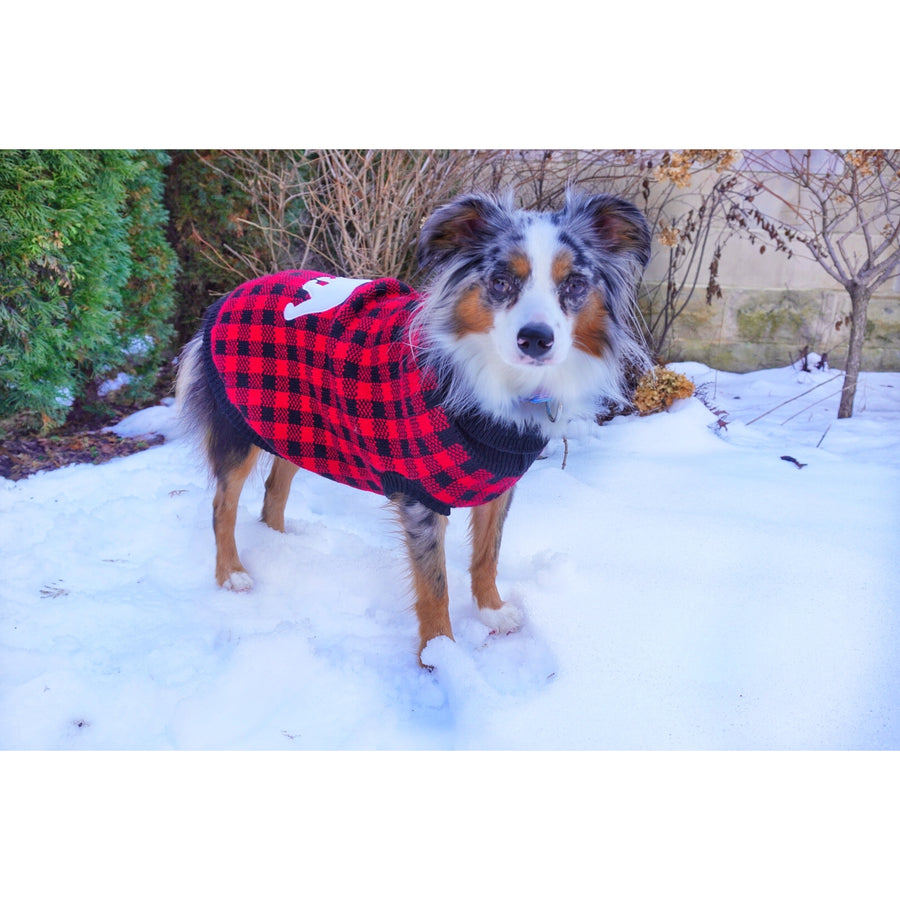 Buffalo Checkered Red Bear Dog Sweater