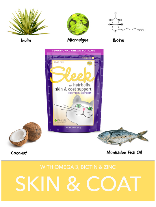 InClover Sleek Skin & Coat Cat Treats