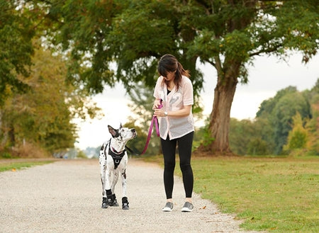 RC Pets Strider Boots for Dogs