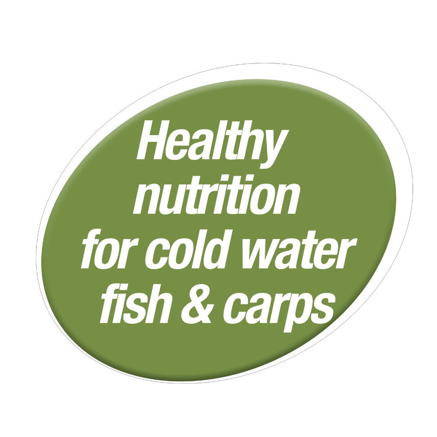 Tetra Pond Sticks Goldfish & Koi Fish Food, Healthy nutrition for cold water fish and carps