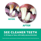 Tropiclean Fresh Breath Clean Teeth Gel for Dogs Before & After, See Cleaner Teeth in 30 days or less