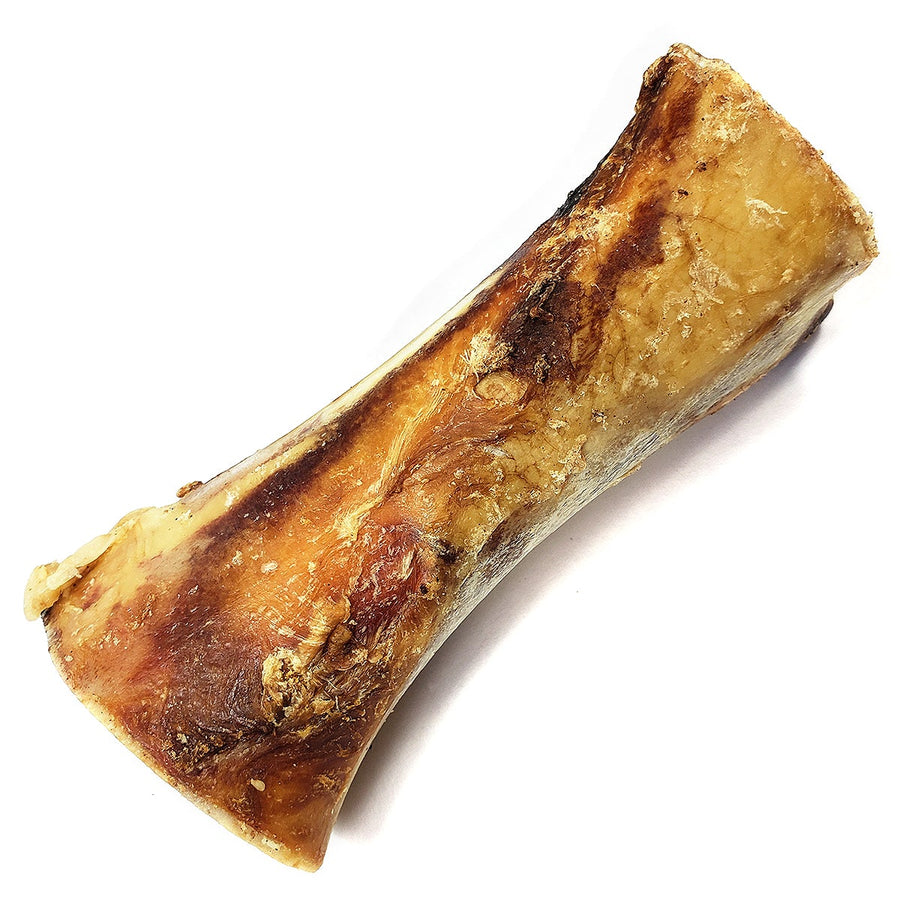 Tuesday's Natural Dog Company Bison Femur Bone Dog Treat, Single