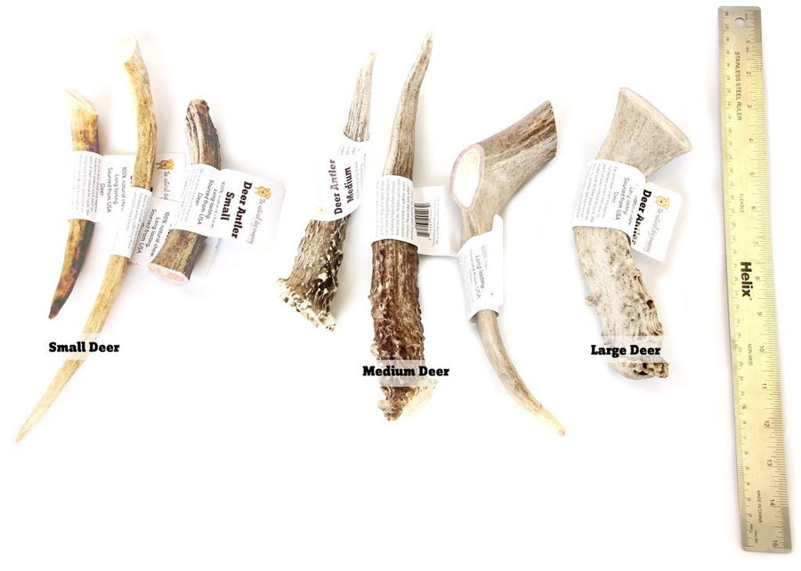 Tuesday's Natural Dog Company Deer Antler, Small, Medium and Large Sizes