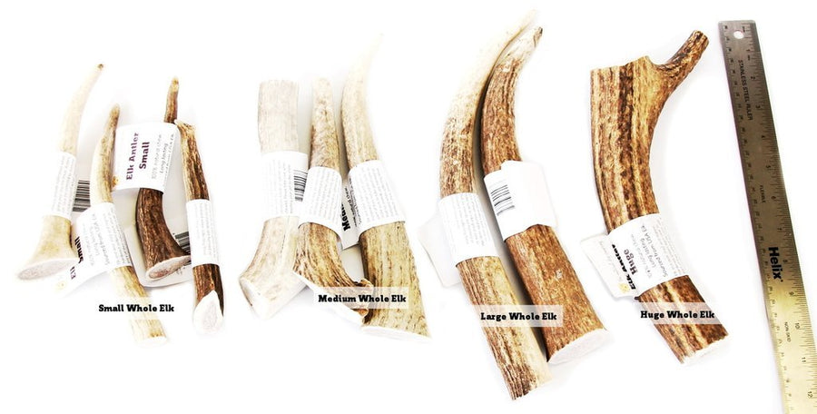 Tuesday's Natural Dog Company Elk Antler, Assorted Sizes