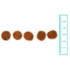 Tuesday's Natural Dog Company Rabbit Flips Dog Treat, Comparison Size