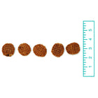 Tuesday's Natural Dog Company Venision Flips Dog Treat, Comparison