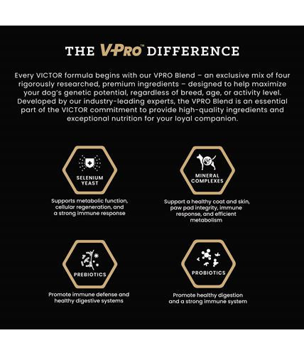 Victor Purpose Senior Healthy Weight Dog Food Difference & Benefits