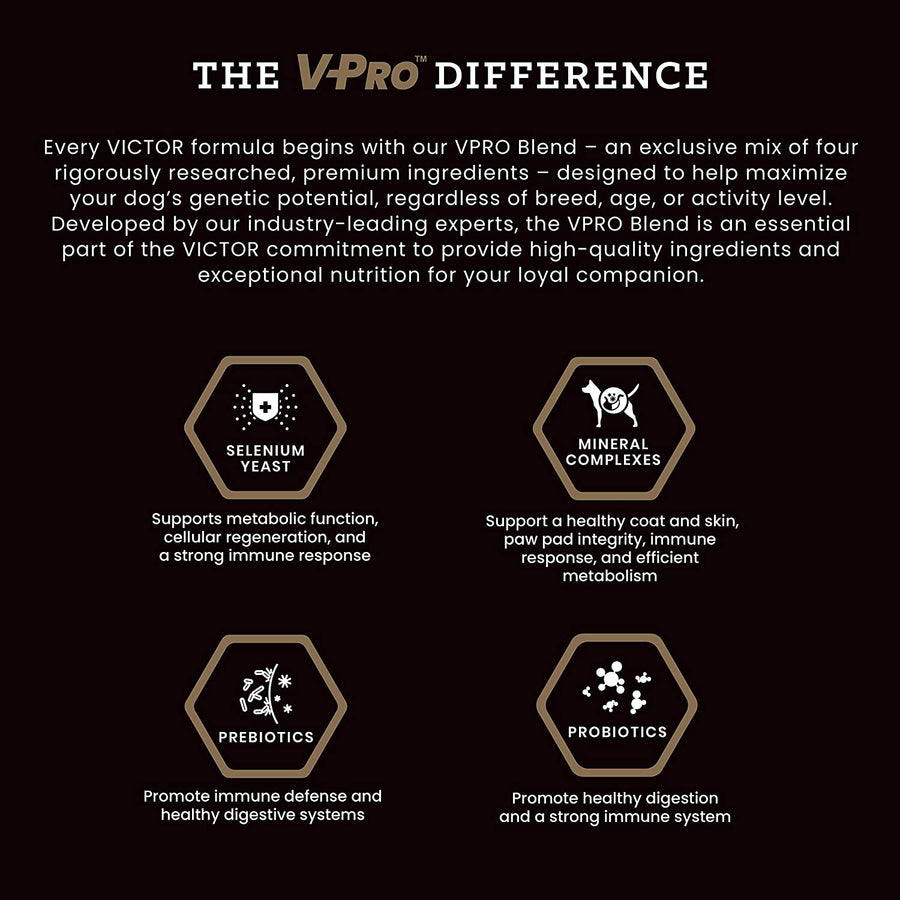 Victor Select Lamb & Brown Rice Dog Food Difference and Benefits