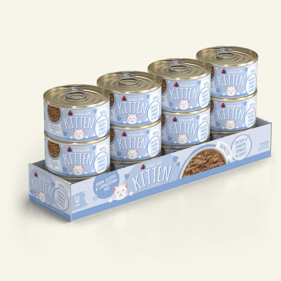 Weruva Kitten Chicken & Pumpkin Canned Food 3oz, 12-can pack