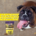 Zignature Grain Free Turkey Formula Soft Moist Dog Treats, all life stages and all breed sizes