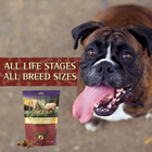 Zignature Grain Free Venison Formula Soft Moist Dog Treats All life stages and all breed sizes