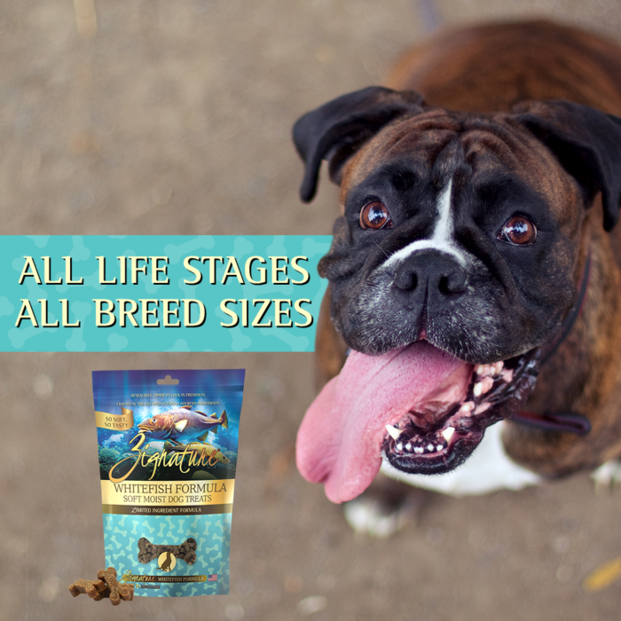 Zignature Grain Free Whitefish Formula Soft Moist Dog Treats, All Life Stages and all breed sizes