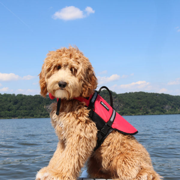 Zippy Paws Adventure Life Jacket for Dogs