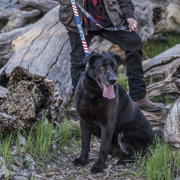 Coastal Wolfgang Man & Beast Digital Leash
