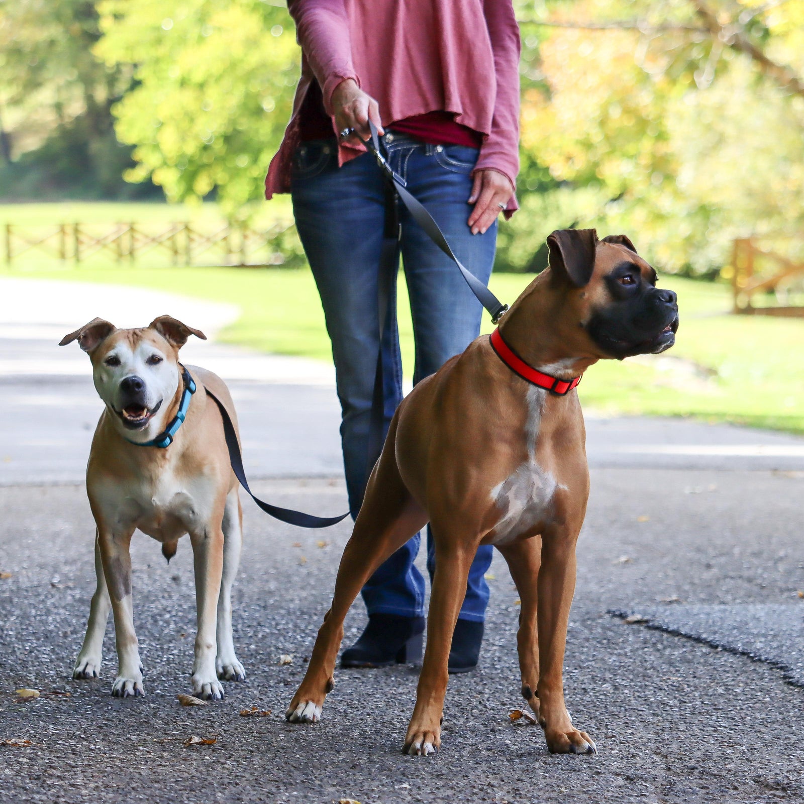 Coastal Pet Products 2 Dog Walker Tangle-Free Adjustable Leash