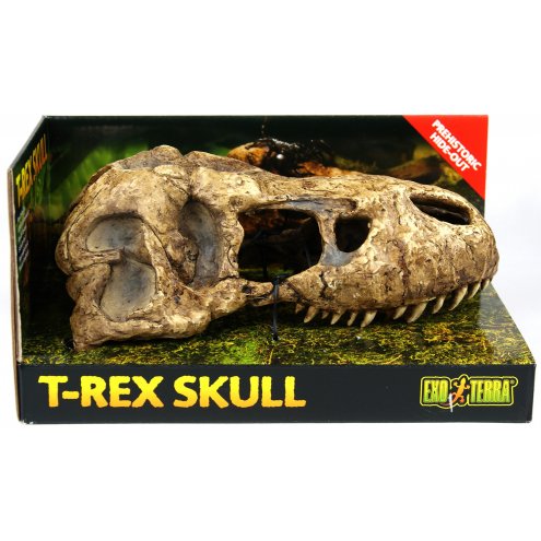 Exo Terra T-Rex Skull Decor