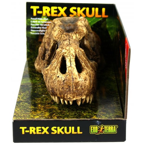 Exo Terra T-Rex Skull Decor