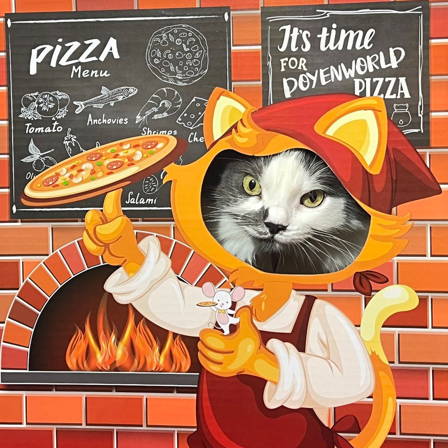 Doyen World Pizzeria Funbox Cat Toy