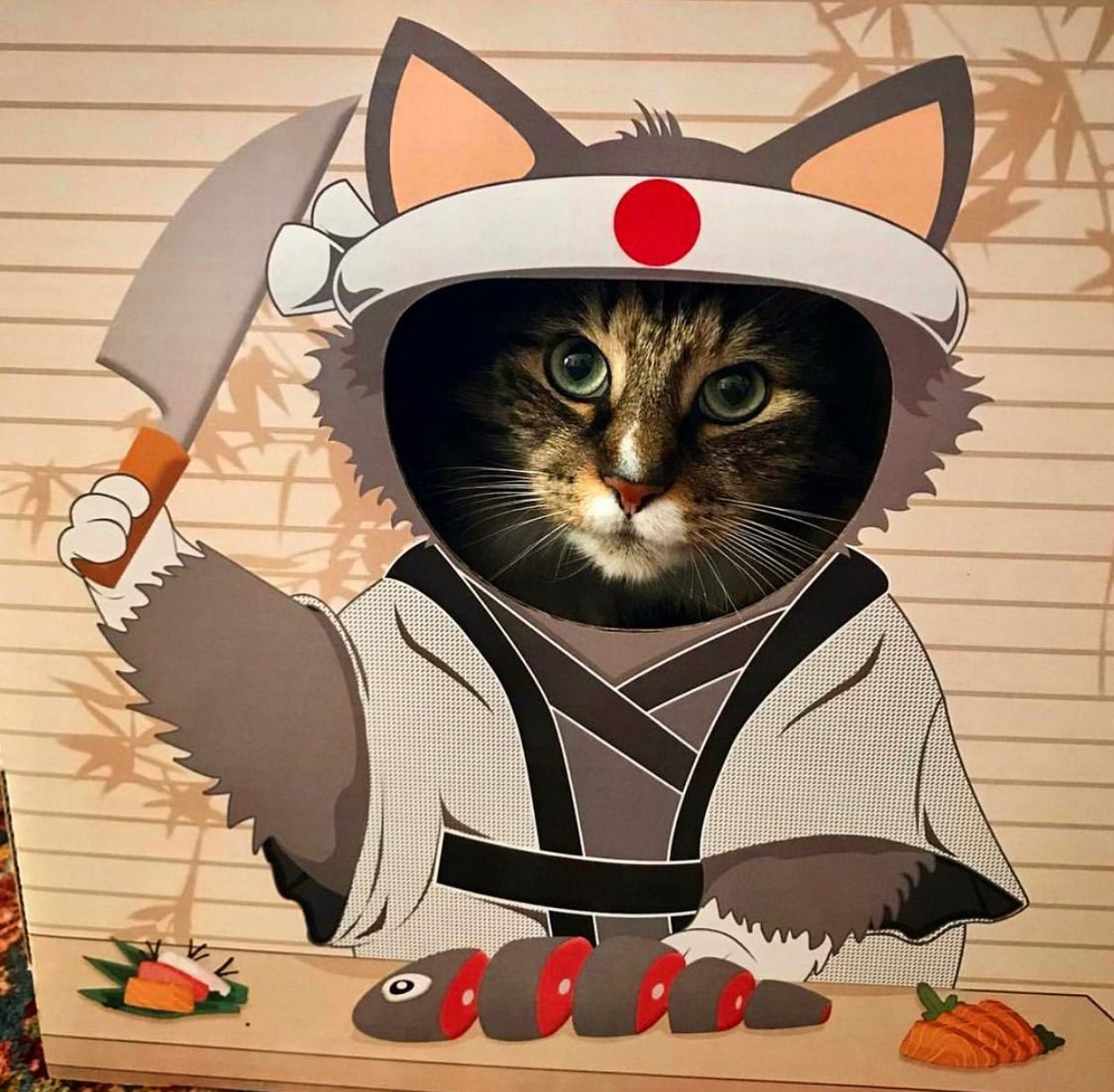 Doyen World Sushi Funbox Cat Scratcher