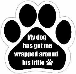 My Dog Has Got Me Wrapped Around His Paw Paw Magnet