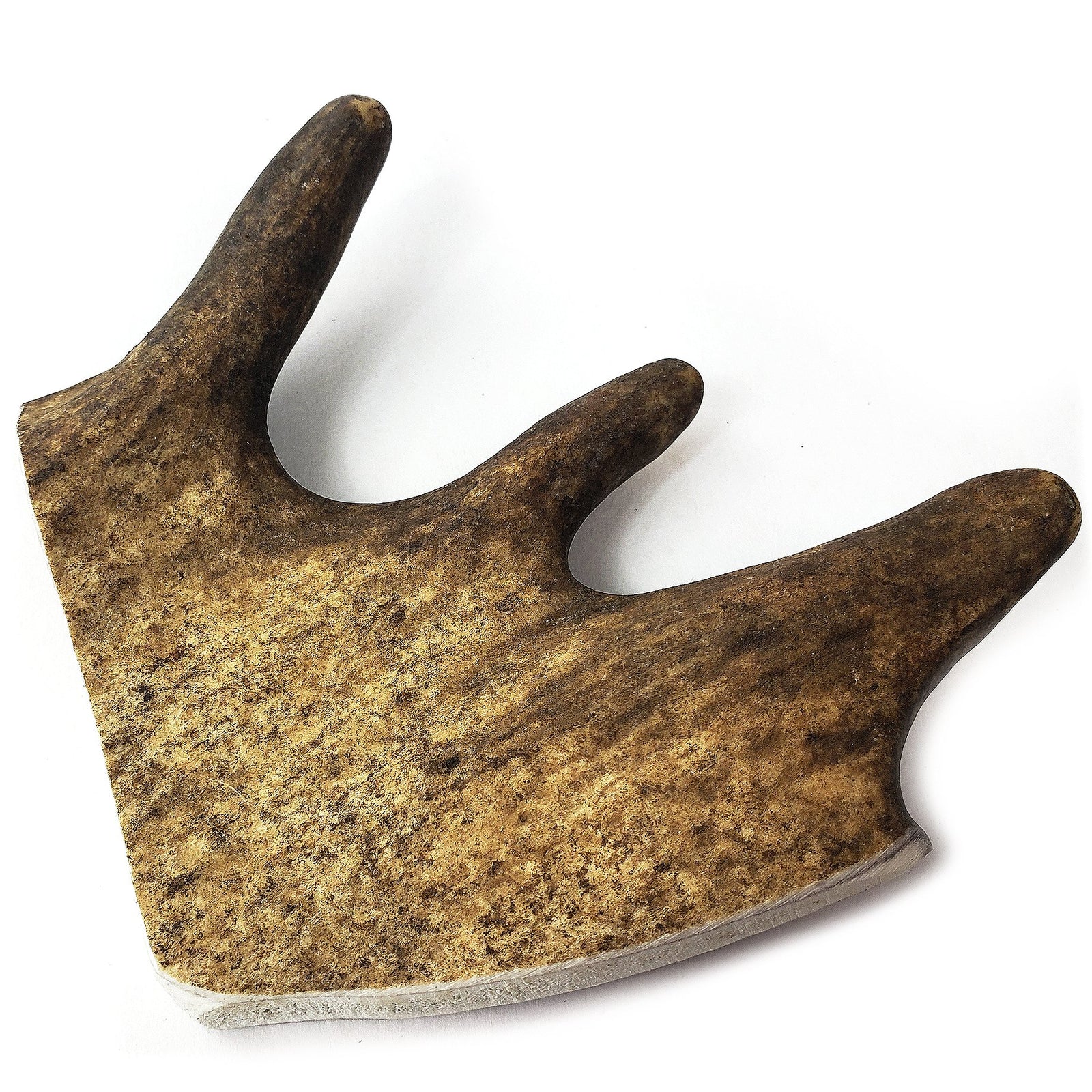 Tuesday's Natural Dog Company Power Paddle Deer Antler Dog Chew