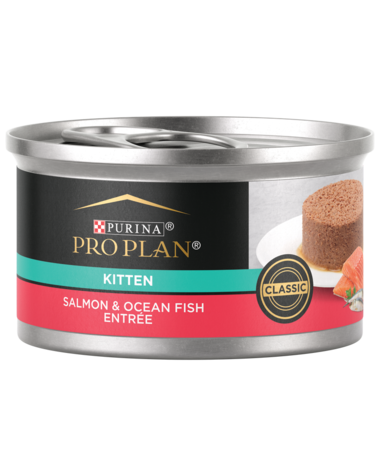 Purina Pro Plan Focus Kitten Classic Salmon & Ocean Fish Entree Canned Cat Food