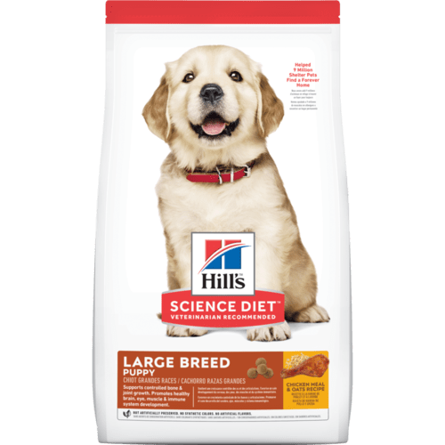 Hill's Science Diet Puppy Large Breed Chicken Meal & Oats Recipe Dry Dog Food